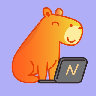 Логотип телеграм канала @networkio_io — Networkio — релокация и карьера за рубежом