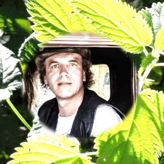 Logo of telegram channel neues_von_festus — Neues von Festus