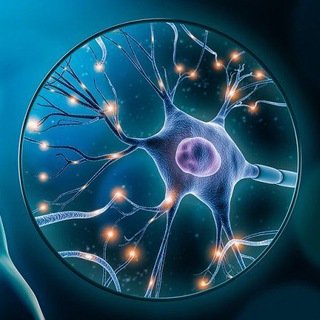 Логотип телеграм канала @neural_digest — Neural Digest