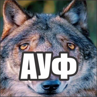 Логотип телеграм канала @neural_wise_wolf — Мудрый волк | Ауф мемы | Нейронные цитаты 🐺