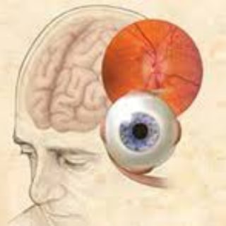 Telegram channel Neuro-Ophthalmology Books Channel logo