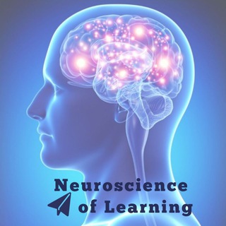 لوگوی کانال تلگرام neurocognitionandlearning — Neuroscience of Learning