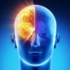 Логотип телеграм канала @neurogarmoniya — НейроГармония ребенка