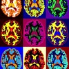 Логотип телеграм канала @neurohabilitation — Опилки мои в беспорядке