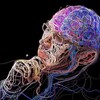 Логотип телеграм канала @neuron_brain_tech — Мозг на нейронах - Искусственные нейроны