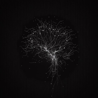 Логотип телеграм канала @neuronationn — NeuroNation