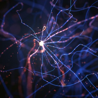 Логотип телеграм канала @neuronsmatter — Связи решают все