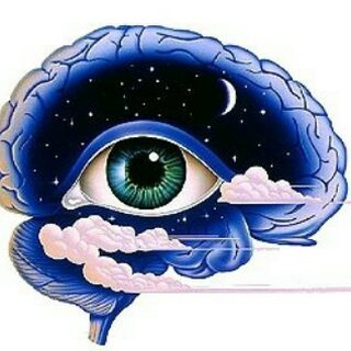 Logotipo do canal de telegrama neuropsicopedagogia - Neuropsicopedagogia PDFs
