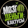 Логотип телеграм канала @neurowins — МОЗГ,ДЕНЬГИ. КАКТУСЫ