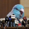 Логотип телеграм канала @nevazhnyyblog — неВажныйБлог