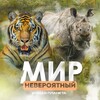 Логотип телеграм канала @neveroyatnymir — Невероятный Мир