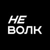 Логотип телеграм канала @nevolk_rabota — не волк
