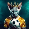 Логотип телеграм канала @new_football2024 — Футбол не спит