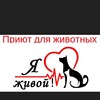 Логотип телеграм канала @new_liveorenburg — Приют для животных «Я-живой» г.Оренбург