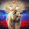 Логотип телеграм канала @new_russia_bear — Русский Медведь🇷🇺