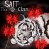 Логотип телеграм канала @new_saitclan — The SAIT clan | resurrection