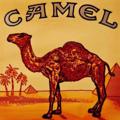 Logo saluran telegram new_shop_cigarettes — Ⓜ️агазин табачних виробів🐪🐪🐪