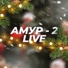 Логотип телеграм канала @newamuromsk — Амур - 2 Live 🎄