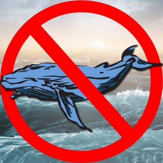 Логотип телеграм канала @newbesr — Синий кит
