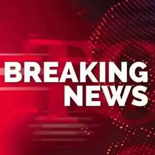 Логотип телеграм канала @newbestnews — NEW news