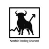 Logo of telegram channel newbietradingchannel — Newbie Trading Channel
