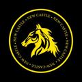 Logo saluran telegram newcastle_nc — New Castle NC