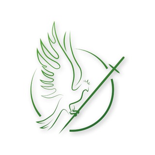 Логотип телеграм -каналу newch_tv — Новий Чернігів Телеканал