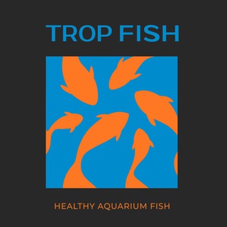 Логотип телеграм канала @newfishs — TropFish - LIFE 🐟🇺🇦🐠