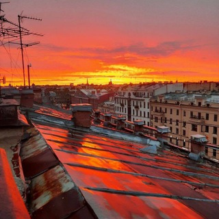 Логотип телеграм канала @newform98 — Карта гостя Я♥️ПИТЕР