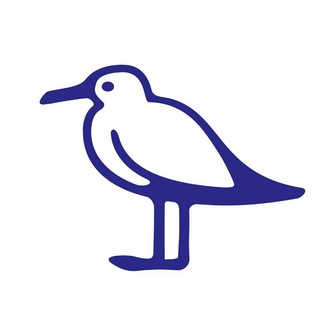 Telegram channel Остров Новая Голландия ✔ logo