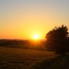Логотип телеграм канала @newhorizonsru — New Horizons RU