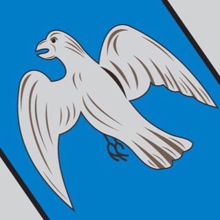 Логотип телеграм канала @newkursk — Нью Курск