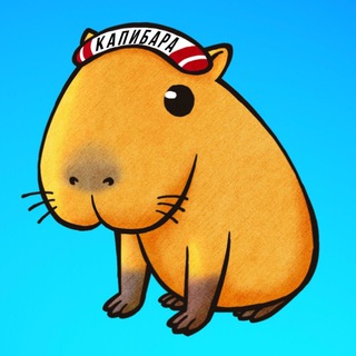 Логотип телеграм канала @news_capybara — Капибара NEWS