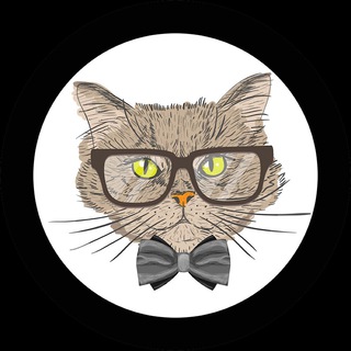 Логотип телеграм канала @news_kit_v_okuliarakh — Кіт в окулярах | News 🇺🇦