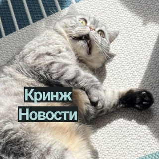 Логотип телеграм канала @news_krinzh — кринж новости от смм