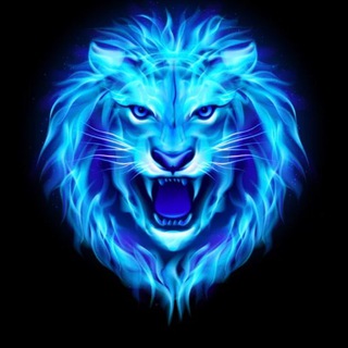 Logo of telegram channel news_leo — Leo News
