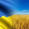 Логотип телеграм -каналу news_radar1 — Радар Новин