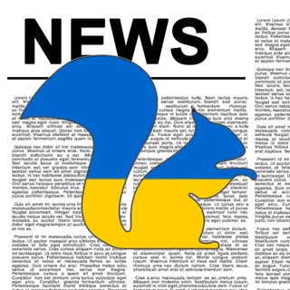 Логотип телеграм -каналу newsbil — Білка NEWS — Велика концентрація інформації.