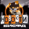 Логотип телеграм канала @newsbisfd — Новости БисФД