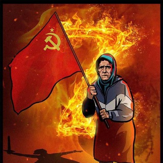 Логотип телеграм канала @newshit24 — Z|O|V
