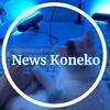 Логотип телеграм канала @newskoneko — 🎮 News Koneko 🎮