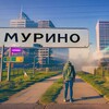 Логотип телеграм канала @newsmurino — Новости Мурино Девяткино