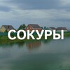 Логотип телеграм канала @newsokur — Сокуры | Новые Сокуры