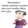 Логотип телеграм канала @newsspoh — новости хоп