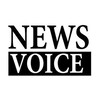 Logo of telegram channel newsvoicepublic — NewsVoice: NewsVoiceTV.com