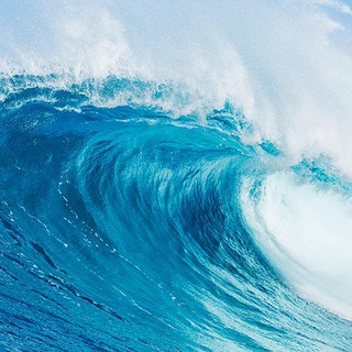 Логотип телеграм канала @newwaveallovertheworld — New Wave All Over The World