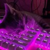 Логотип телеграм канала @nexus_gifts1 — Nexus Gifts
