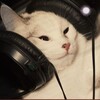 Логотип телеграм канала @nezhnoeeto_muz — Нежное это. Музыка.