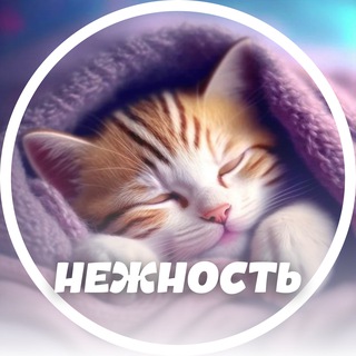 Логотип телеграм канала @nezhnost_yana — Нежность в открытках 💌