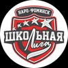 Логотип телеграм канала @nf_schoolleague — Школьная лига Наро-Фоминского городского округа